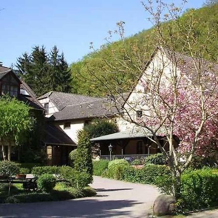 Landhotel Burkartsmuehle Hofheim am Taunus Kültér fotó